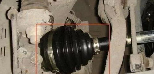 老司機忠告 這三個汽車零件越懶保養越好，過度呵護反成傷車元兇